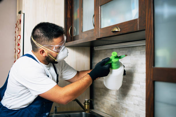Best Pest Control Near Me in Ripley, MS