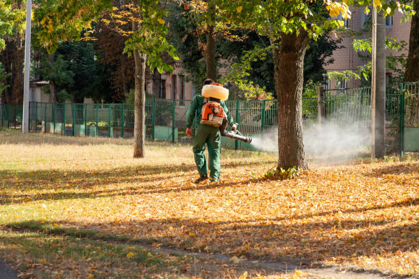 Best Bed Bug Extermination  in Ripley, MS